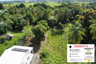 achat terrain abymes 97139