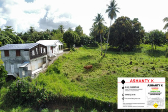 achat terrain abymes 97139