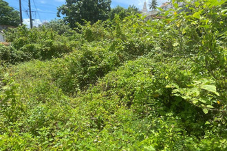 achat terrain abymes 97139