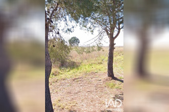 achat terrain adissan 34230