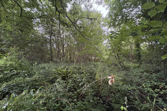 achat terrain agon-coutainville 50230