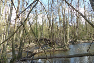 achat terrain airvault 79600