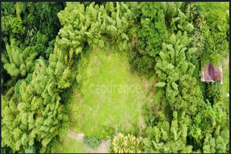 achat terrain ajoupa-bouillon 97216