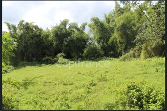 achat terrain ajoupa-bouillon 97216