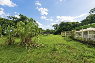 achat terrain ajoupa-bouillon 97216