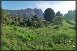 achat terrain alata 20167