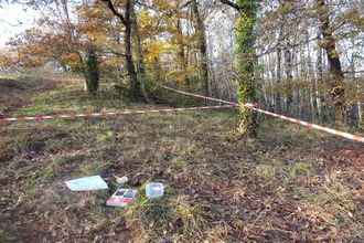 achat terrain albi 81000