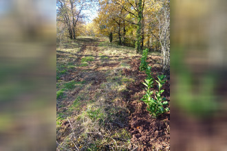 achat terrain albi 81000