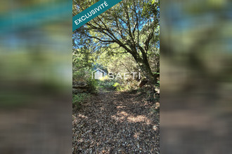 achat terrain albitreccia 20166