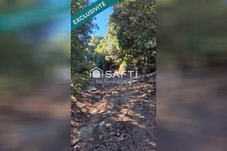 achat terrain albitreccia 20166