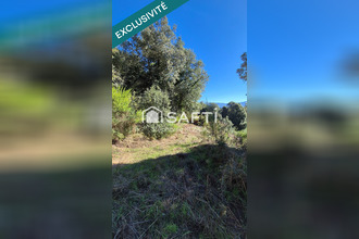 achat terrain albitreccia 20166