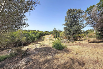 achat terrain albitreccia 20166