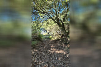 achat terrain albitreccia 20166