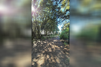 achat terrain albitreccia 20166