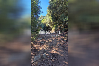 achat terrain albitreccia 20166