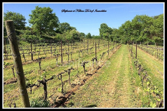 achat terrain alignan-du-vent 34290