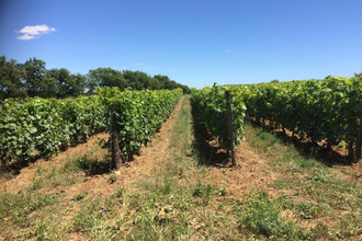 achat terrain alignan-du-vent 34290