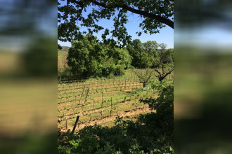 achat terrain alignan-du-vent 34290