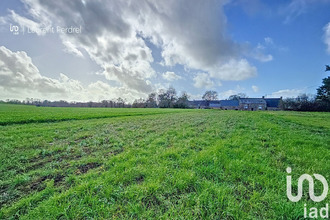 achat terrain allaire 56350