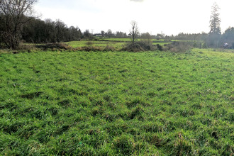 achat terrain allaire 56350