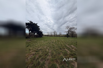 achat terrain allaire 56350