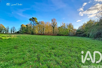 achat terrain allaire 56350