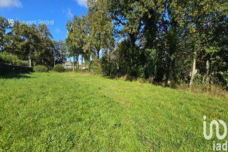 achat terrain allaire 56350