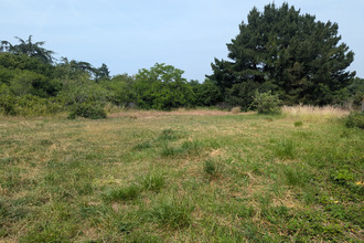 achat terrain amilly 45200