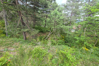 achat terrain andon 06750