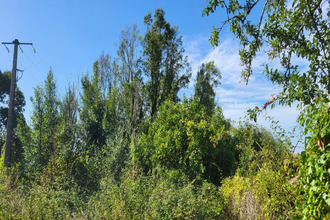 achat terrain angles-sur-l-anglin 86260