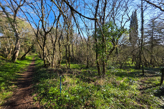 achat terrain angles-sur-l-anglin 86260