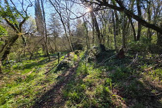 achat terrain angles-sur-l-anglin 86260