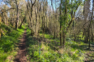 achat terrain angles-sur-l-anglin 86260