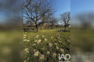 achat terrain anglure 51260