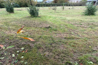 achat terrain angrie 49440