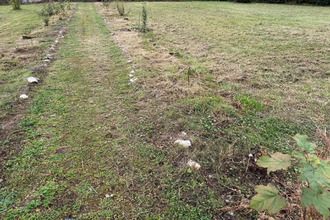 achat terrain angrie 49440