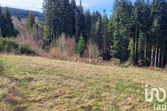 achat terrain anould 88650