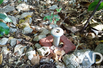 achat terrain anse-bertrand 97121