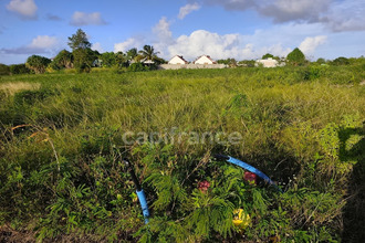 achat terrain anse-bertrand 97121