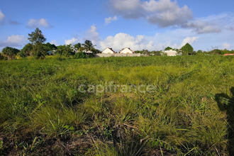 achat terrain anse-bertrand 97121