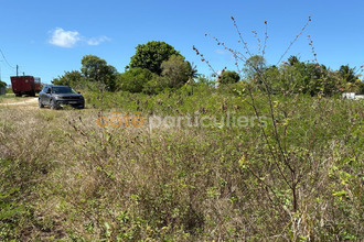 achat terrain anse-bertrand 97121