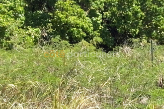 achat terrain anse-bertrand 97121