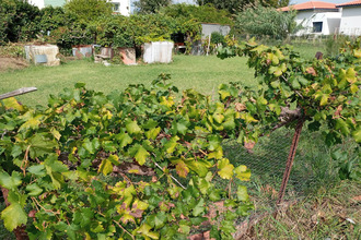 achat terrain argeles-sur-mer 66700