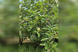 achat terrain argenton-sur-creuse 36200