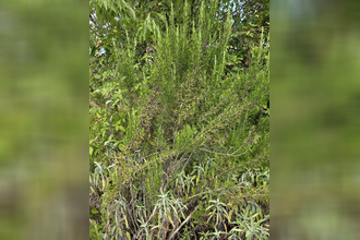 achat terrain argenton-sur-creuse 36200