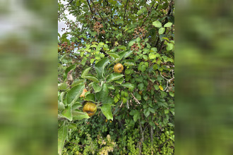 achat terrain argenton-sur-creuse 36200