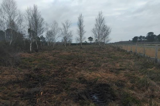 achat terrain arsac 33460