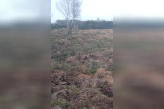 achat terrain arsac 33460