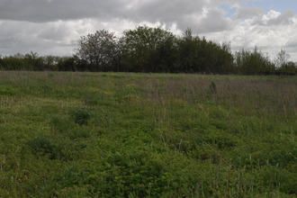 achat terrain asnieres-la-giraud 17400