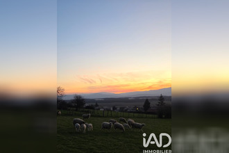 achat terrain assieu 38150